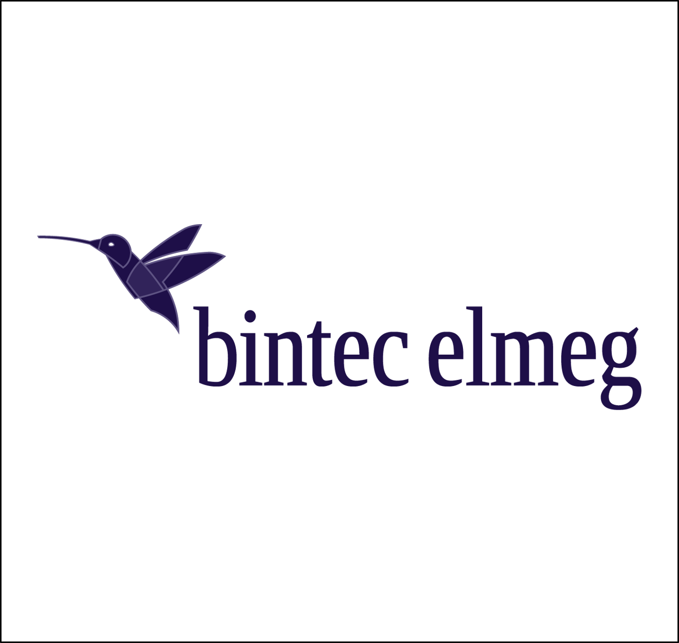 bintec_elmec